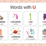 Spanish Words that start with U